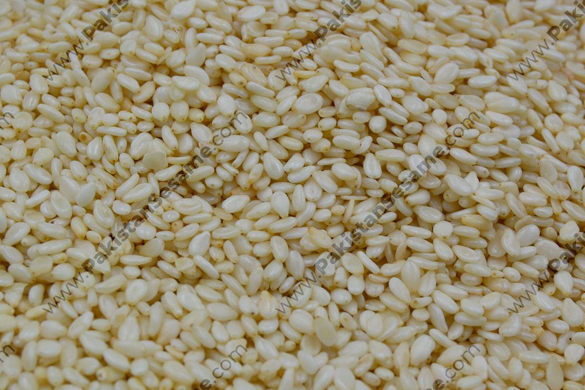 pakistan machine cleaned natural sesame seeds exporters to China