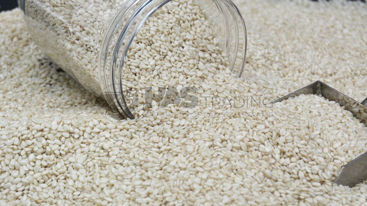 pakistani hulled sesame seeds exporters - image of hulled sesame seeds for export to europe