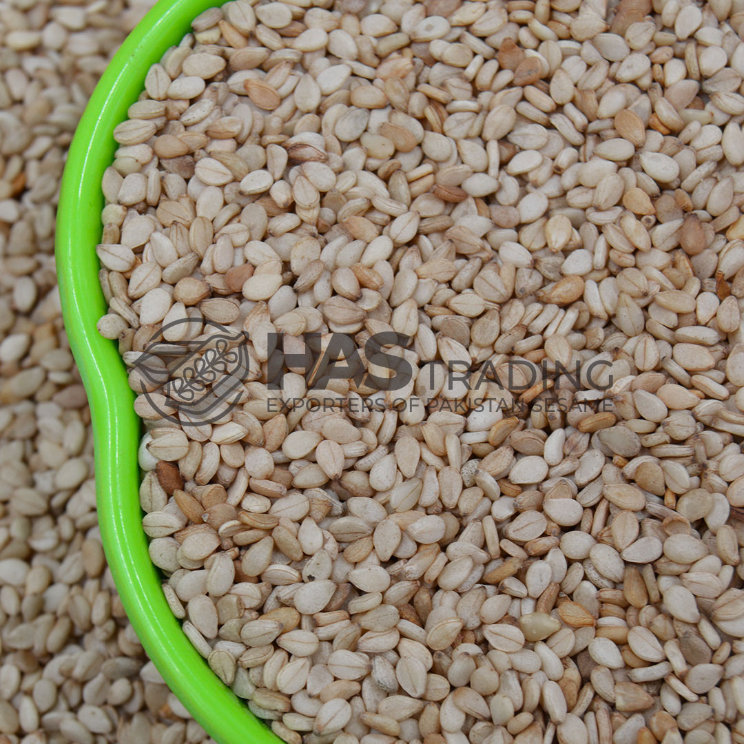 pakistan sesame seeds exporters | HAS Trading