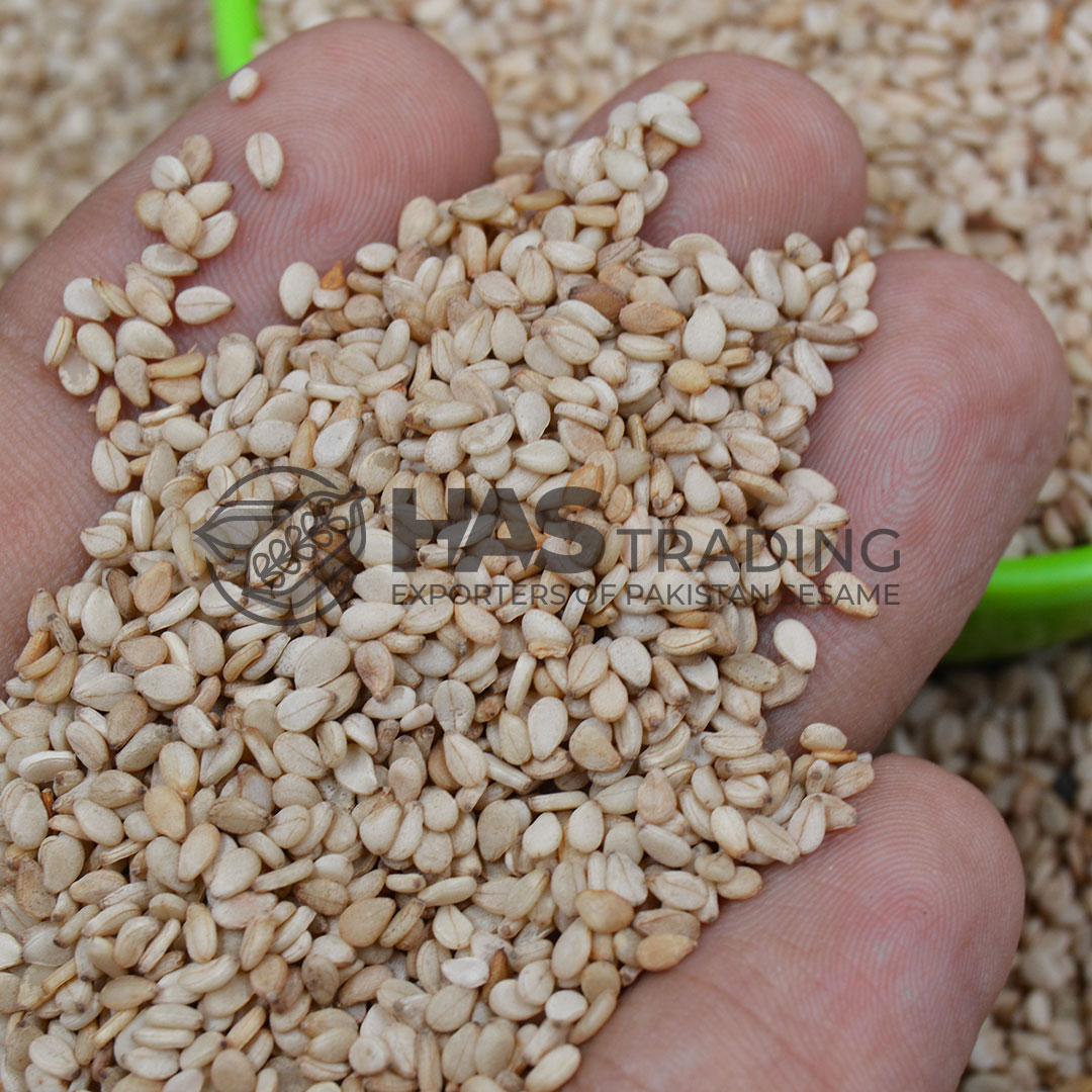 pakistan sesame seeds exporters | HAS Trading