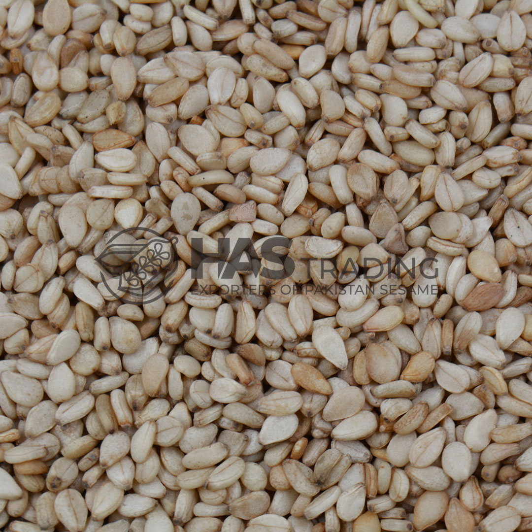 pakistan sesame seeds exporters | HAS Trading