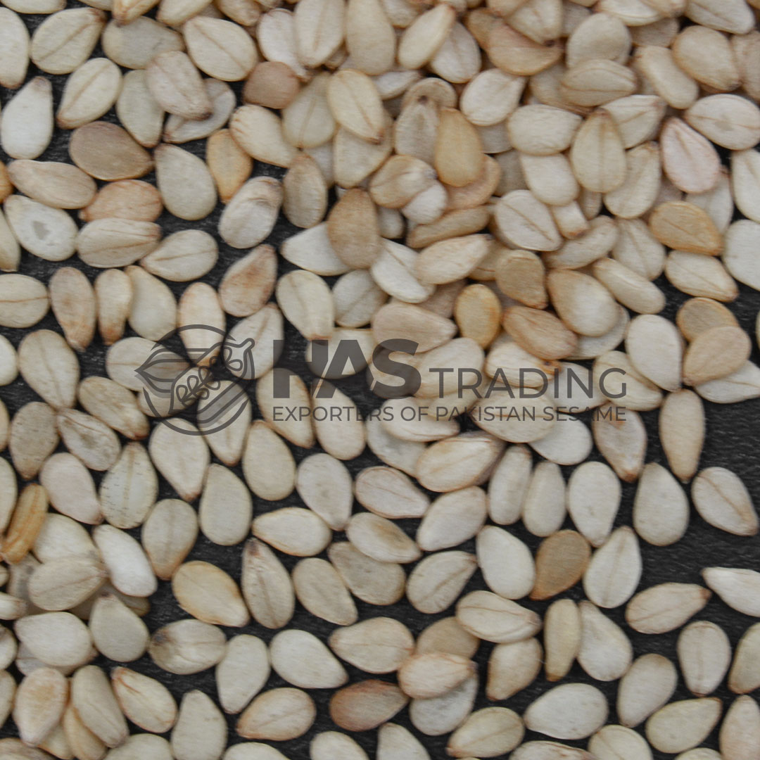 pakistan sesame seeds exporters | HAS Trading