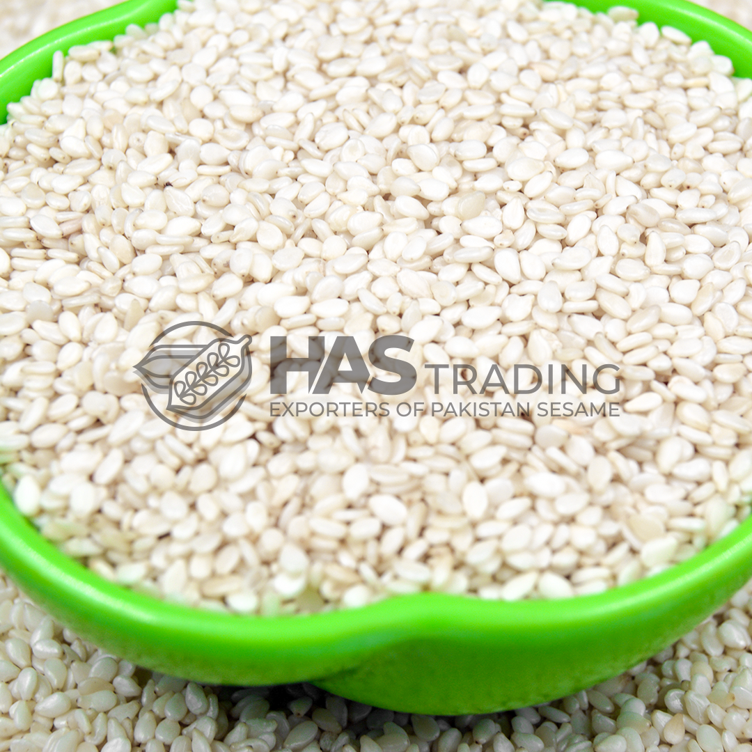 pakistan natural sesame seeds exporters to China