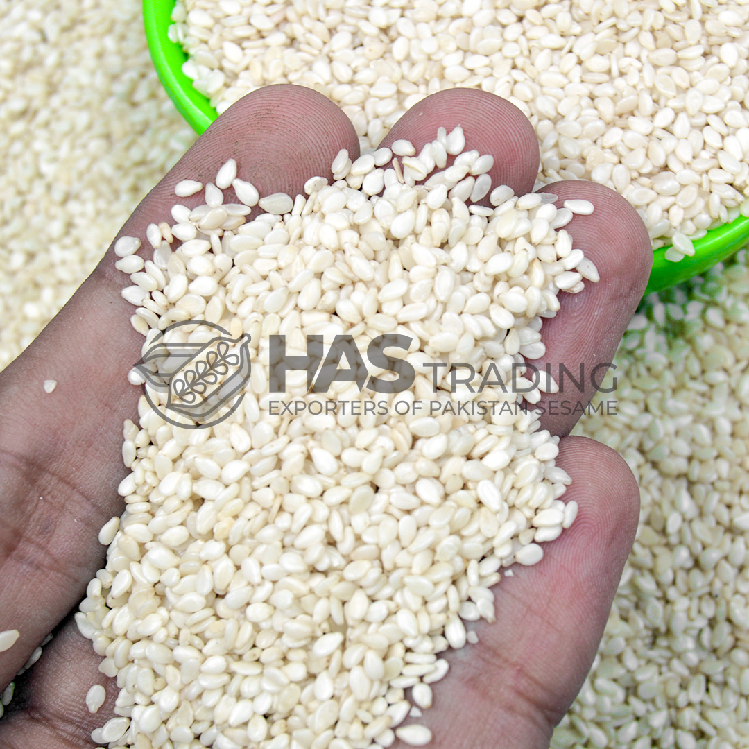 pakistan machine cleaned natural sesame seeds exporters to China