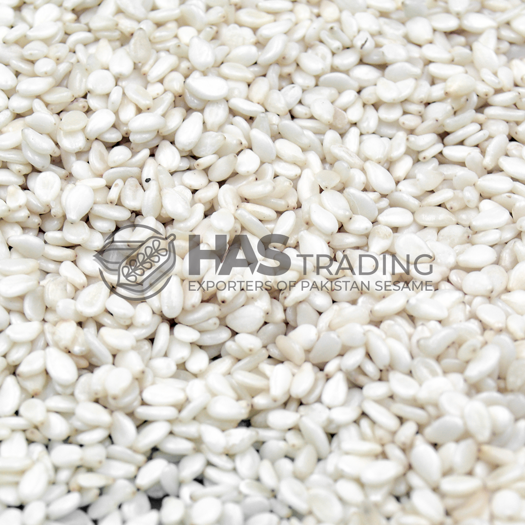 pakistan sesame seeds exporters | HAS Trading